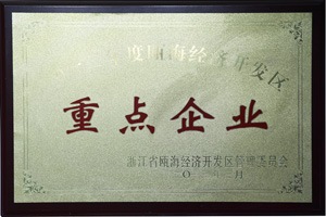 鼎業(yè)重點(diǎn)企業(yè)證書(shū)